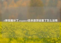 cf体验服补丁,wegamecf击杀音效设置了怎么没用
