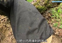 男人徒手在茂密的丛林深处，建造地下隐蔽庇护所！#荒野建造