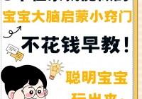 每天5个15分钟，在家做顶级早教：0-3岁聪明宝宝的日常魔法