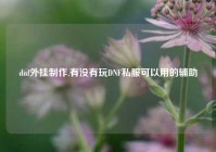 dnf外挂制作,有没有玩DNF私服可以用的辅助