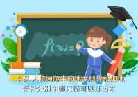 斗罗大陆敏捷系打什么魂兽