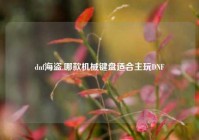 dnf海盗,哪款机械键盘适合主玩DNF