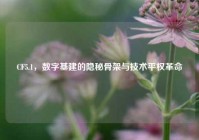 CF5.1，数字基建的隐秘骨架与技术平权革命