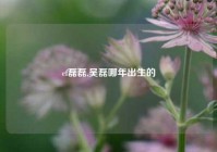 cf磊磊,吴磊哪年出生的