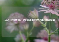 从入门到精通，DNF深渊派对全方位刷图指南