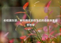 心悦俱乐部，解码腾讯游戏生态的会员体系运营哲学