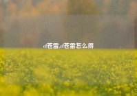 cf苍雷,cf苍雷怎么得