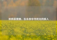夜鸦菲奥娜，在永夜中寻找光的旅人