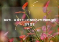 盖波加，从湮灭纪元的救赎之火到文明重构的哲学启示