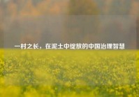一村之长，在泥土中绽放的中国治理智慧