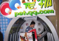 QQ宠物退场背后：电子宠物的虚拟与真实