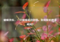 蝴蝶效应，一只蝴蝶扇动翅膀，如何掀起跨洋飓风？