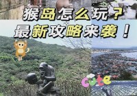 跑跑猴岛好玩吗？体验过的玩家都说赞！