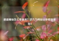 逍遥睡仙怎么看最爽？这几个网站让你看到完结！