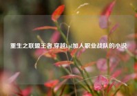 重生之联盟王者,穿越kpl加入职业战队的小说