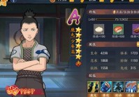 火影忍者：鹿丸阵容搭配攻略