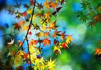 DNF手游战斗法师在PKF中实战测验输出