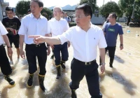 东吴证券财富家园,怎么看待现在歌曲中狗屁不通的歌词