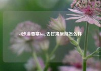 cf沙漠要塞bug,去甘肃旅游怎么样