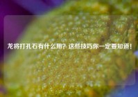 龙将打孔石有什么用？这些技巧你一定要知道！