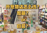 艾尔之光雷文宠物选哪个好？超萌宠物资料汇总与选择推荐