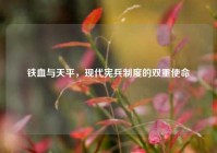 铁血与天平，现代宪兵制度的双重使命