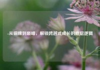 -从铜牌到巅峰，解锁跨越式成长的底层逻辑