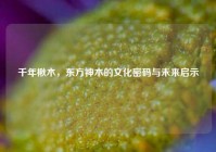 千年楸木，东方神木的文化密码与未来启示