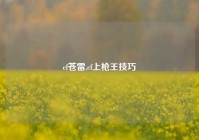 cf苍雷,cf上枪王技巧