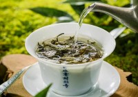 金属咆哮：科幻与战斗交织的机甲冒险，引爆你的感官