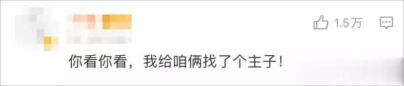 赢得猫友谊_猫猫狗狗的游戏_如何与猫咪交朋友