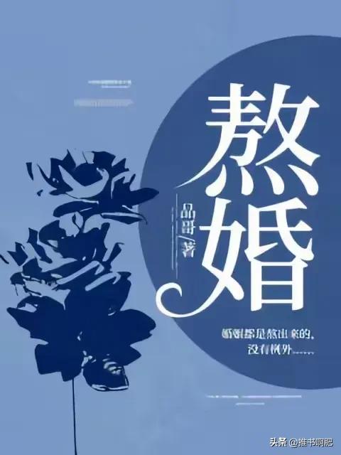 嫁姐夫 北城豪门圈_夺她为妻 男主追妻火葬场_豪门游戏boss请自重txt