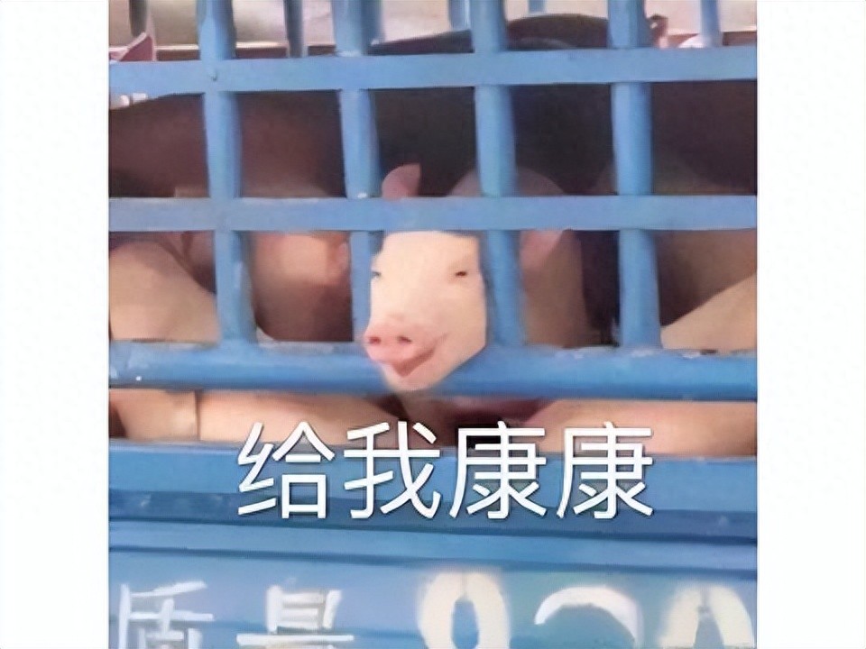 好玩的网游pc游戏_鬼谷八荒手游版 买断制游戏 7.6评分
