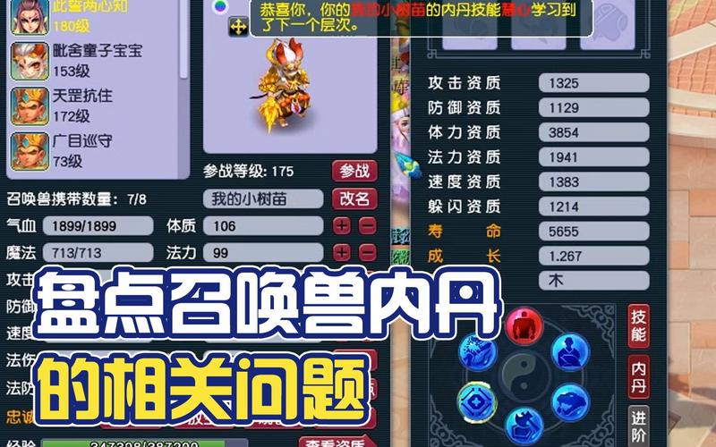 问道内丹怎么升级成功率高？内丹升级材料获取与使用攻略