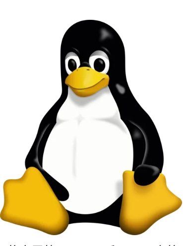 linux 游戏 推荐_Steam Deck Linux 游戏发行版_Pop OS 游戏优化