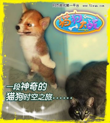 猫狗大战游戏画面_猫狗大战女性玩家_猫狗游戏