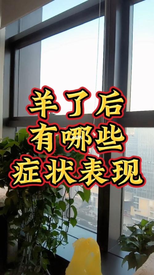 轻松应对“羊了”症状，疫情后恢复的实用技巧