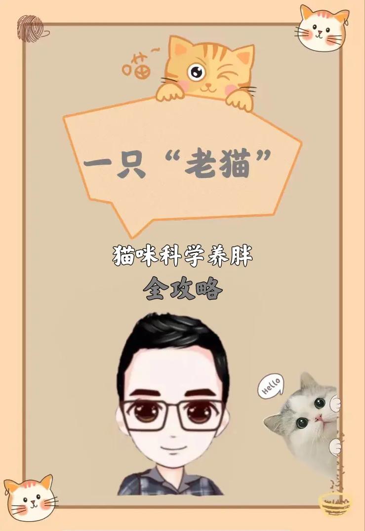 质量效应3终极攻略：从新手到专家的全面指南