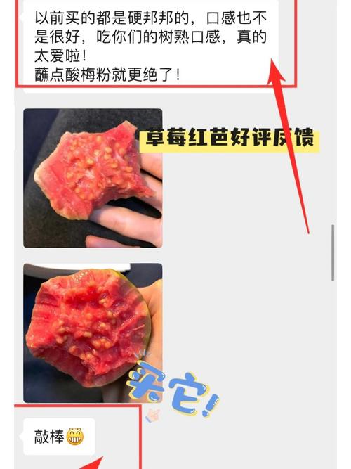 草莓芭乐丝瓜绿巨人榴莲好吃吗？不同人群评价汇总！