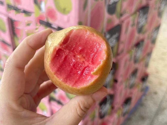 草莓芭乐丝瓜绿巨人榴莲好吃吗？不同人群评价汇总！