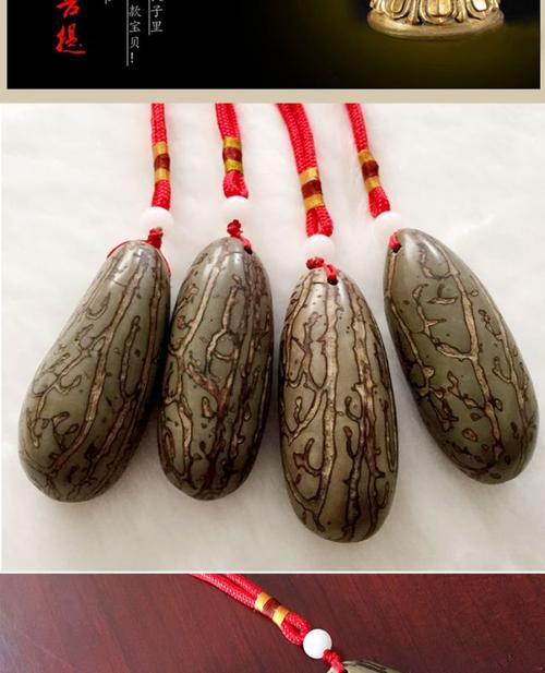 菩提子是什么？揭开其背后的历史与功效