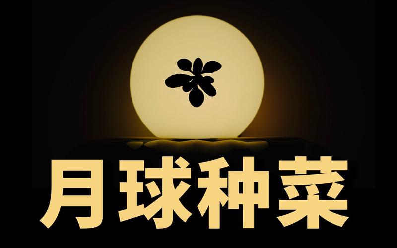 自然状态下月球能种菜吗？科学告诉你答案！