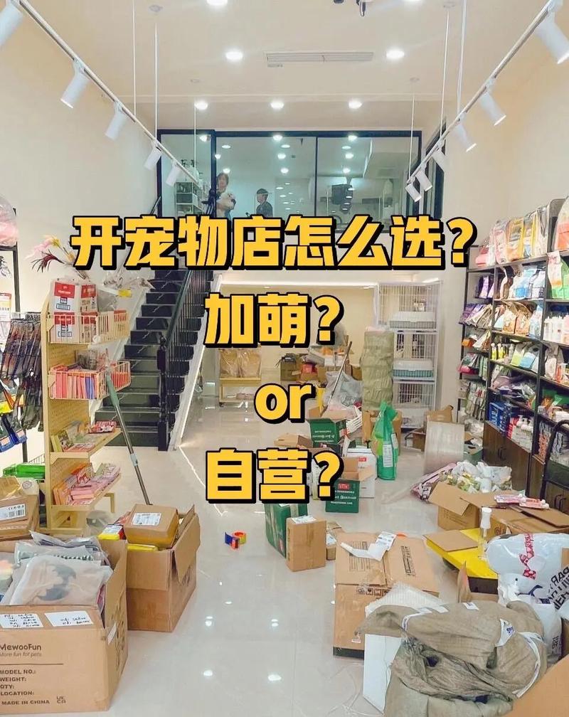艾尔之光雷文宠物选哪个好？超萌宠物资料汇总与选择推荐