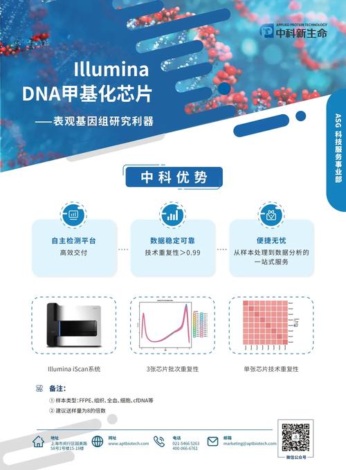 第三次生日DNA芯片解析：掌握基因合成提升战力