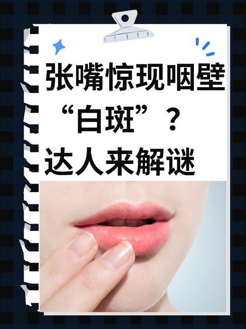 砰砰计划镜像谜题太烧脑？这篇攻略让你变身解谜达人！