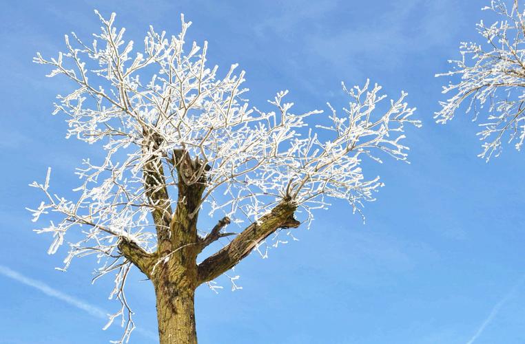 脚尖滑过的地方，火红的枫叶，铺满地；洁白的雪花，飘满天；五彩的果实，挂满枝头，秋——意——浓——郁！