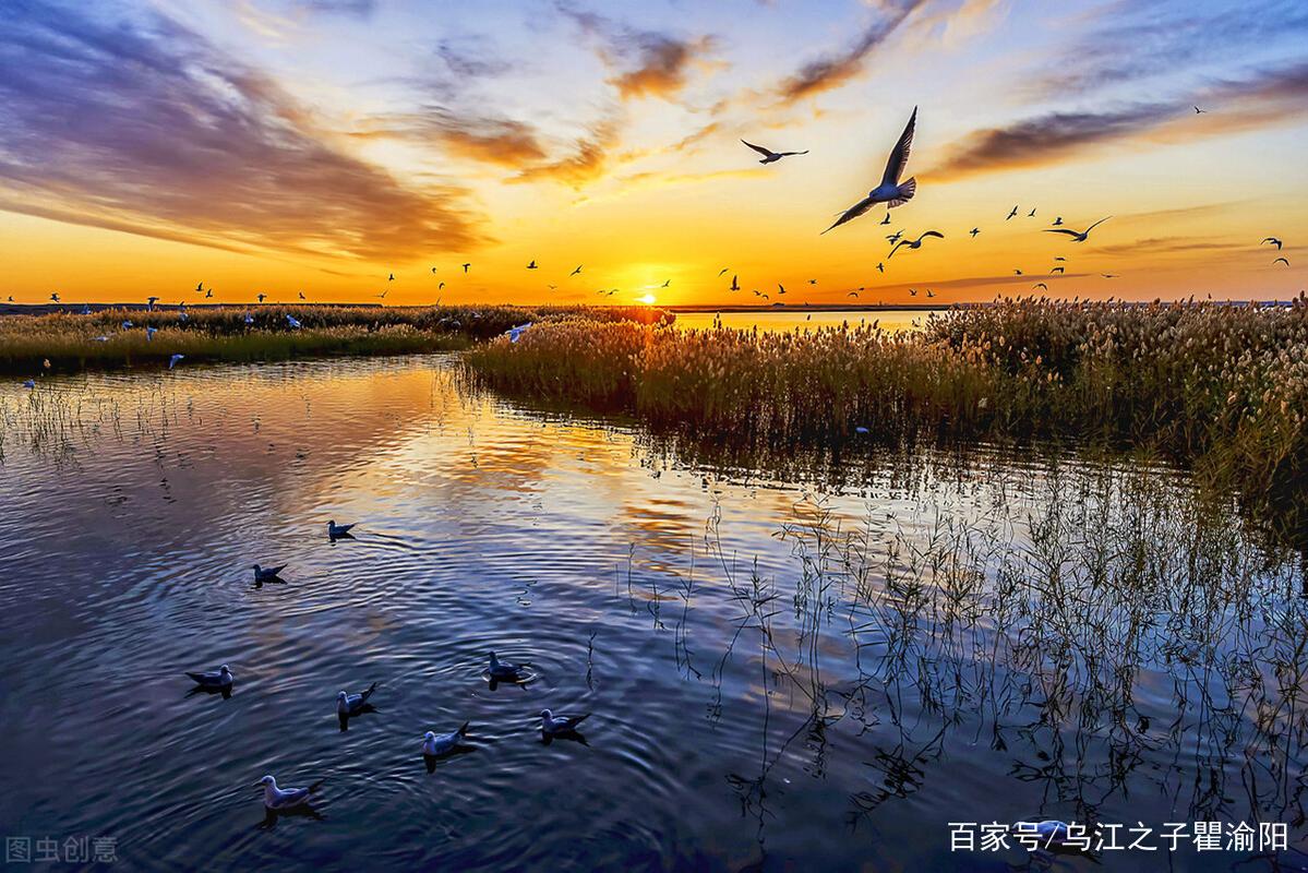 穿越古今的青春岁月——帝王青春日记全解读