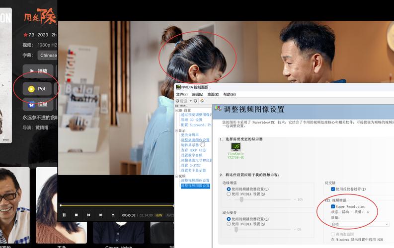 战国无双2完美存档下载教程，轻松开启无双之旅