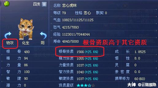 新手必看！倩女幽魂灵兽养成攻略与技巧