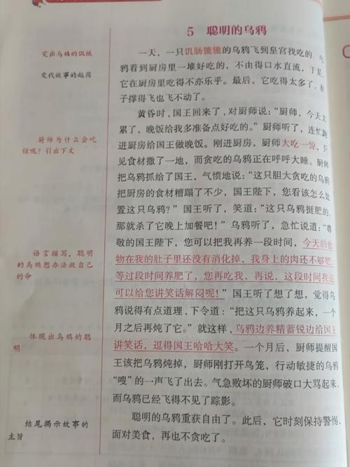 黑珍珠和艾尔文是谁？他们有什么样的故事？